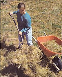 Joy Taylor helping with mulch application.